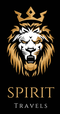 digitaldigial